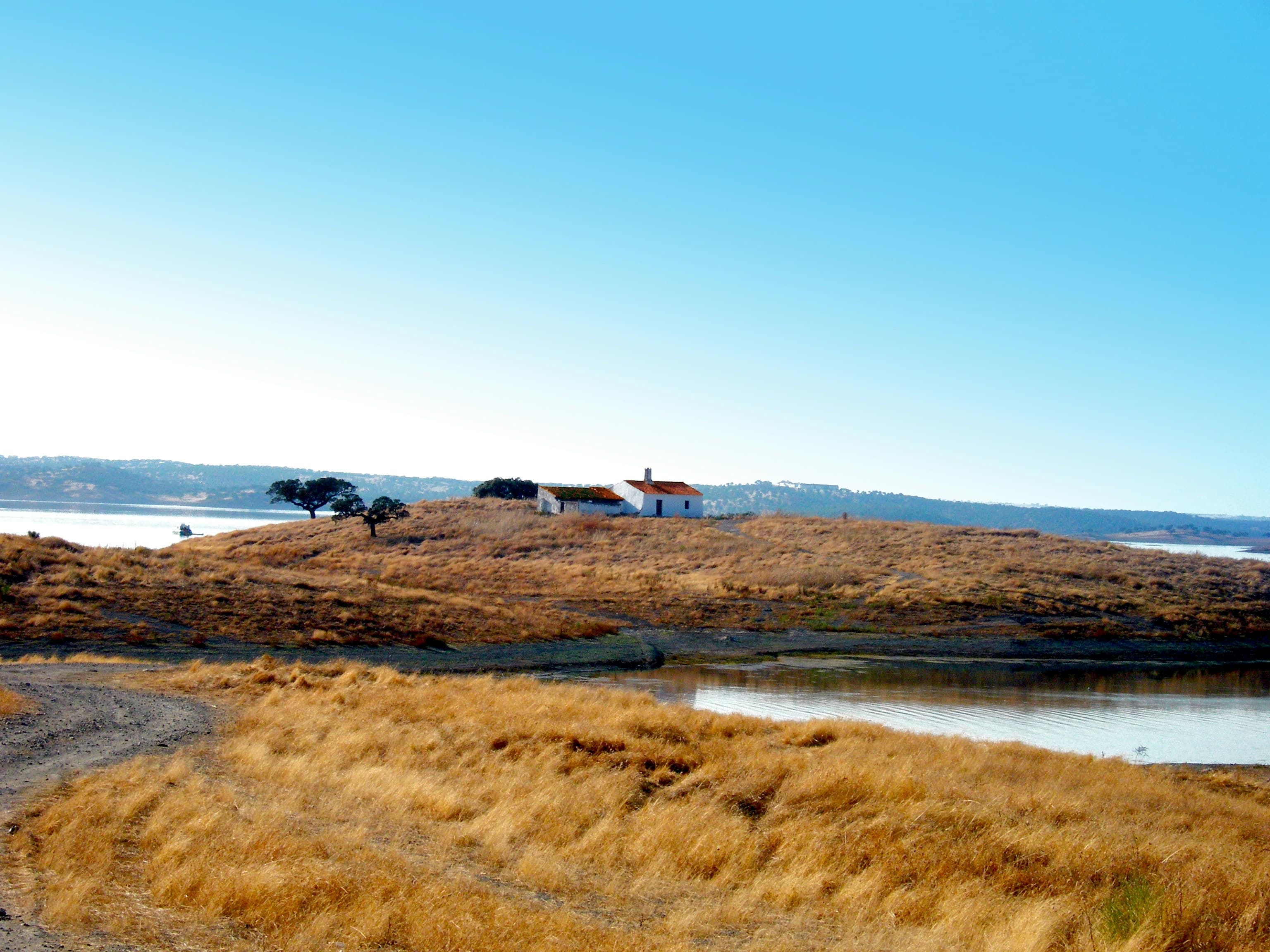 Landscape on the shores of Alqueva