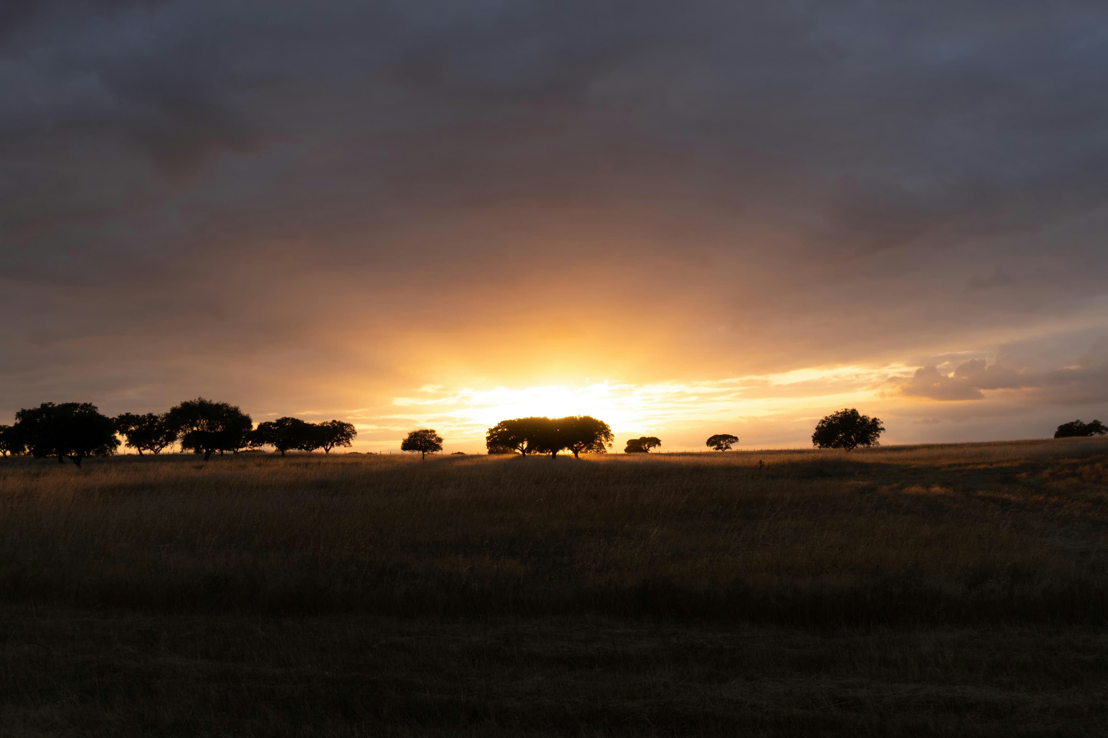 Alentejo