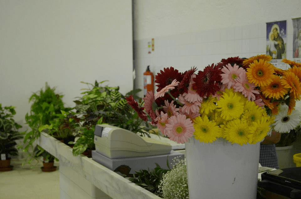 Elvas Municipal Market (farmers market)