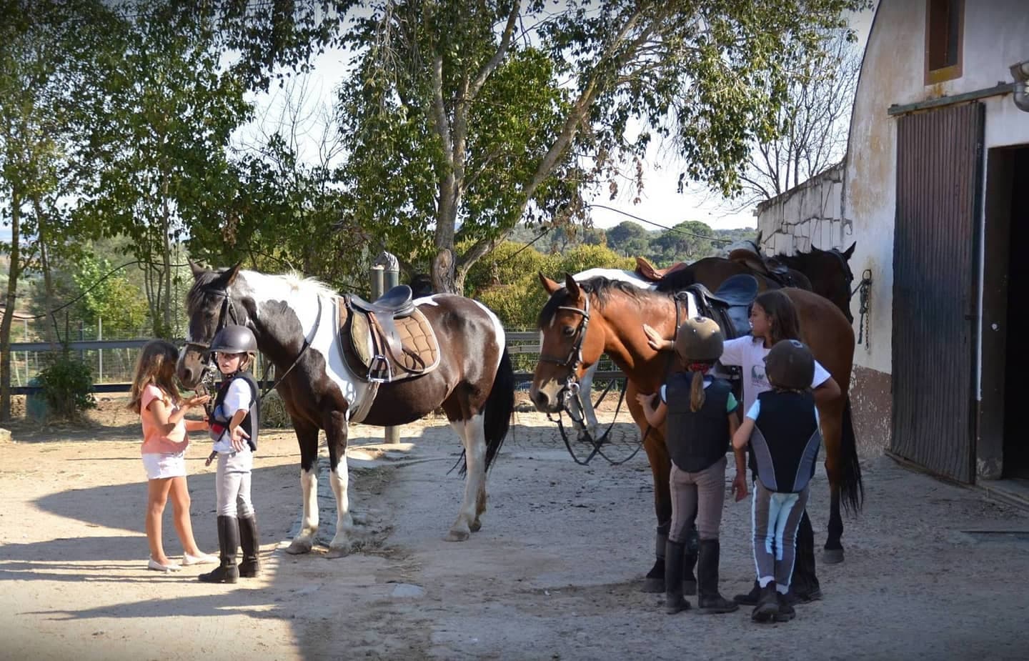 Horse riding lessons for children