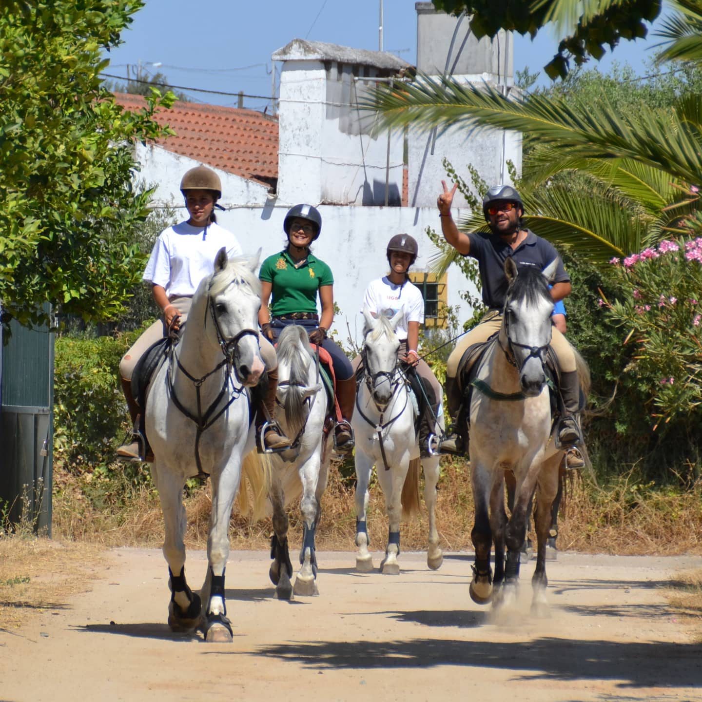 Horse riding trails